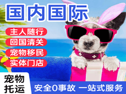 乌审旗嘎鲁图国际宠物托运 【国